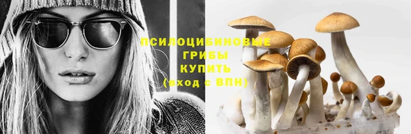 твердый Бугульма