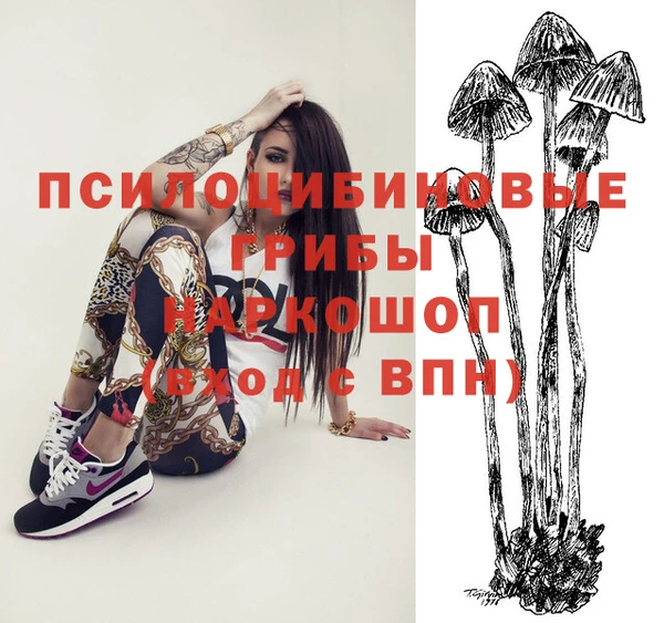 прущие крисы Бронницы