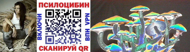 Купить  Тулун  Псилоцибиновые грибы Cubensis 
